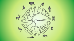 Computational Molecular Evolution 