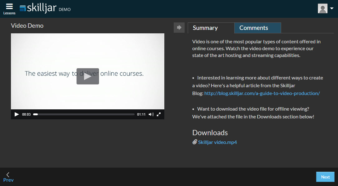 online lesson display1